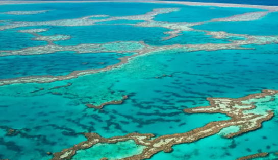 Keindahan Great Barrier Reef