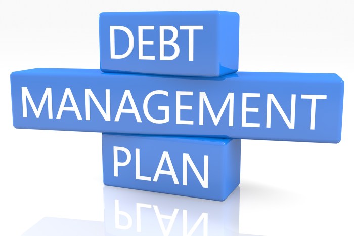 Debt management post professionals rules guest young being source off