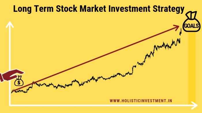 Long term investment stock market strategy profitable most secrets unveiling known little