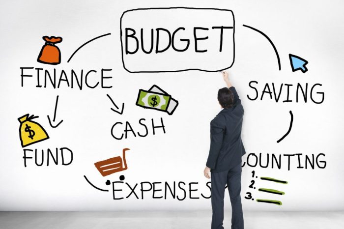 Budgeting saving opinion