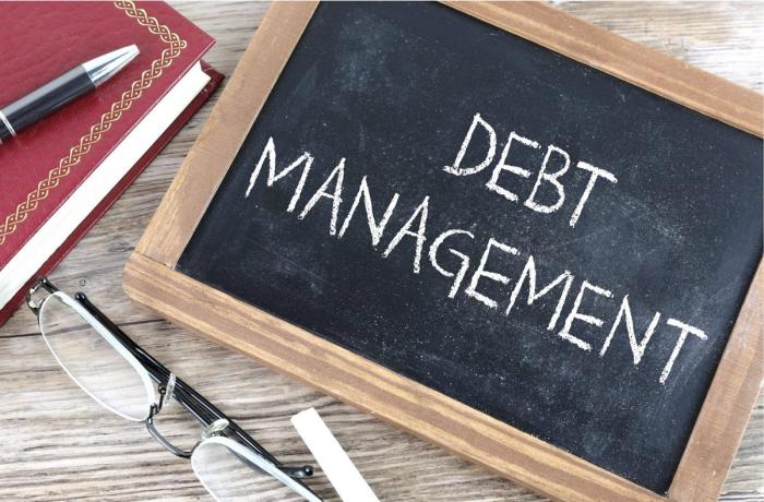 Debt management plan offset benefits account what falla james