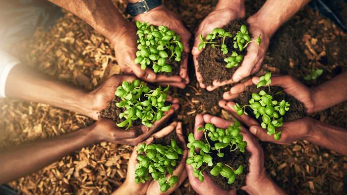 Eco pruning livingnaturaltoday sustainable