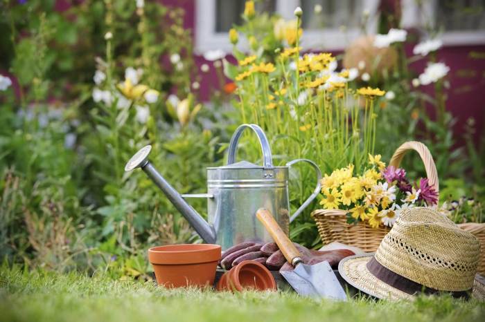 Friendly cottage ways