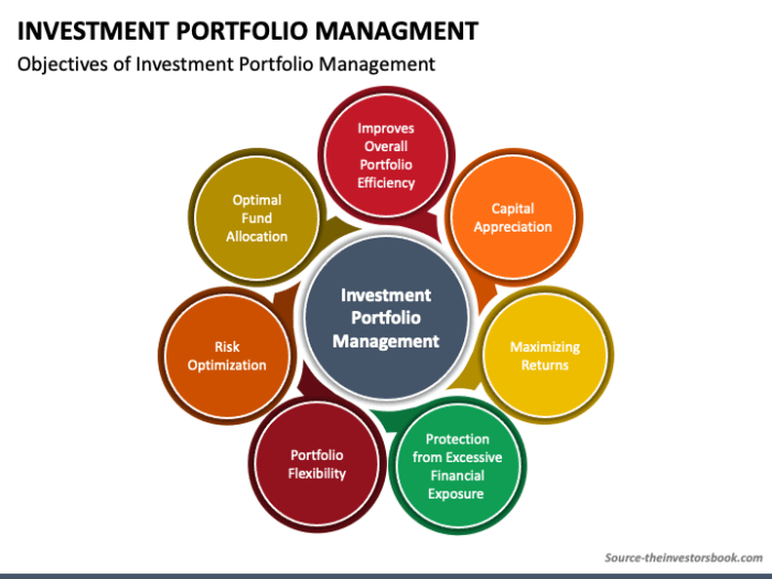 Management portfolio investment types manager