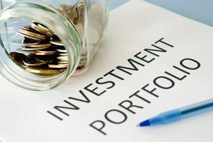 Portfolio investment management some investing investor should every things look when what