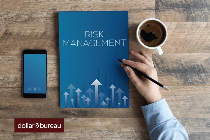 Risk Management in Investments